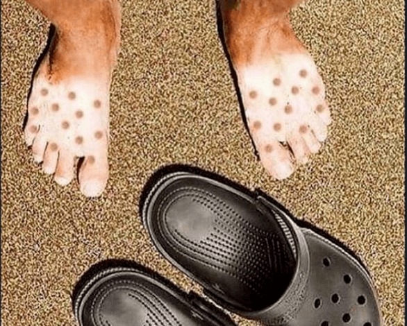 张大奕是穷疯了吗?长生不老功效的智商税也敢尬吹,真把粉丝当傻子?