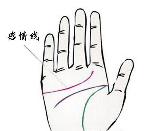 掌纹乱的女人命运怎么样