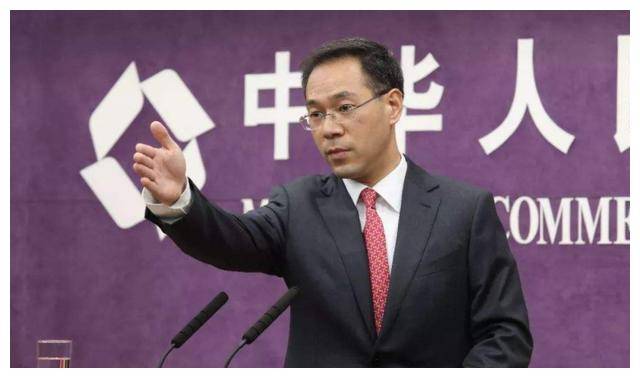孟加拉人均收入_孟加拉豹猫(2)