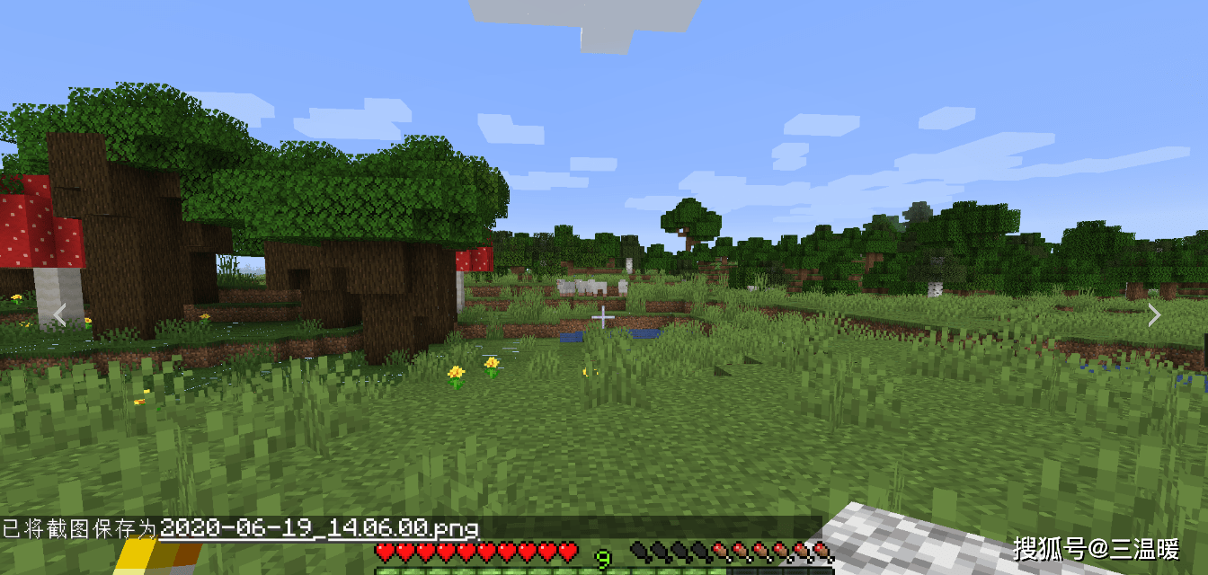 我的世界生存多人模式怎么开 b63a831f45de441cac4df5ddb5914019.png