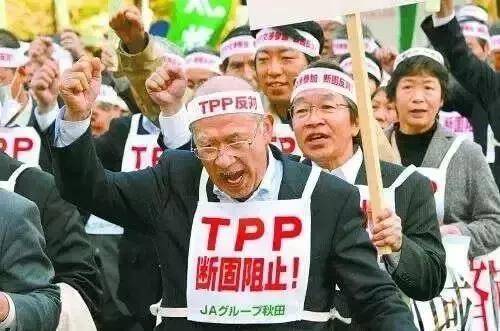 Kaiyun 开云体育日本休闲农业好在哪？对我国有何借鉴意义？(图16)
