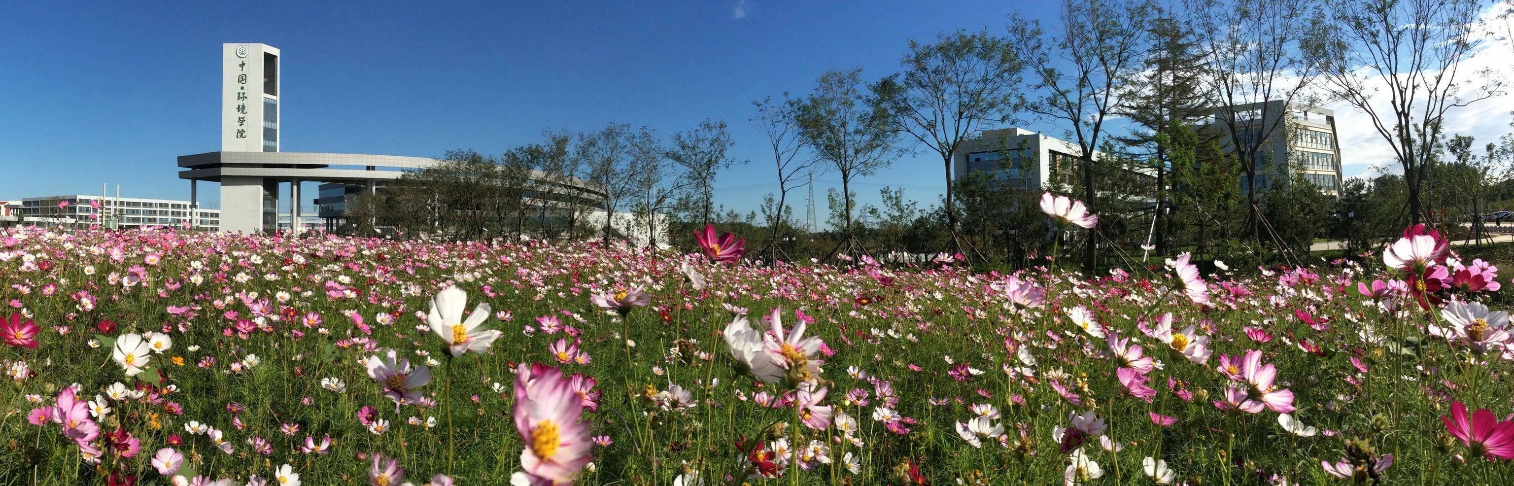 2020环境工程考研学_2020年河北环境工程学院招生章程