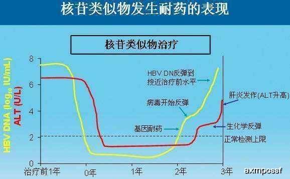 肝功能gdp_肝功能化验单(2)