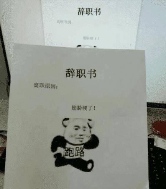 一个帽子一封辞职信猜成语_一封简单又好的辞职信