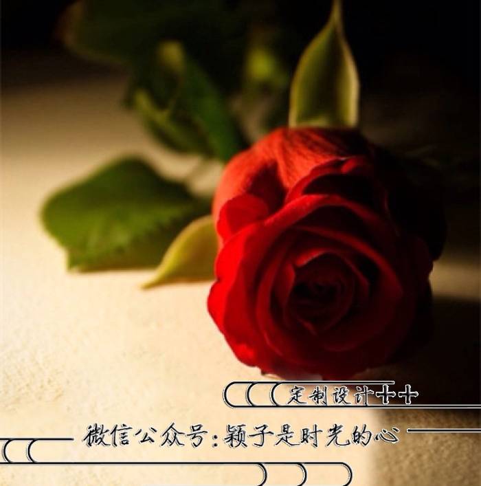 姓氏头像，微信头像，不忘初心版百家姓头像，喜欢请带走！