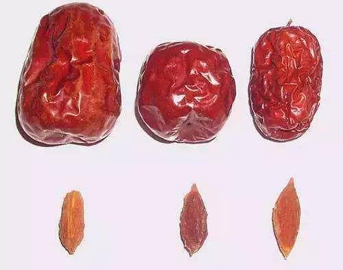 保定|竟是粽子惹的祸保定:孩子被卡险致命