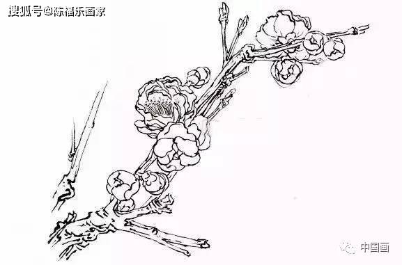 梅花画法,经典实用!(吴昌硕齐白石画梅法)