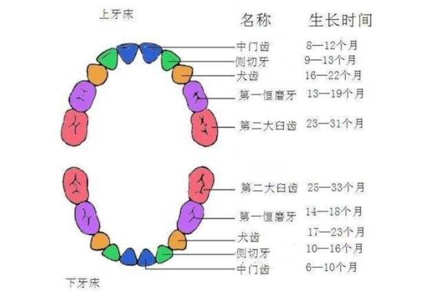 家长|看看你家宝宝掉队了吗宝宝几月长牙算正常？长牙表现及顺序