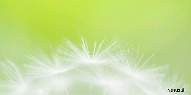cef3069d6d3545618e64bd1f6d06507a.jpeg