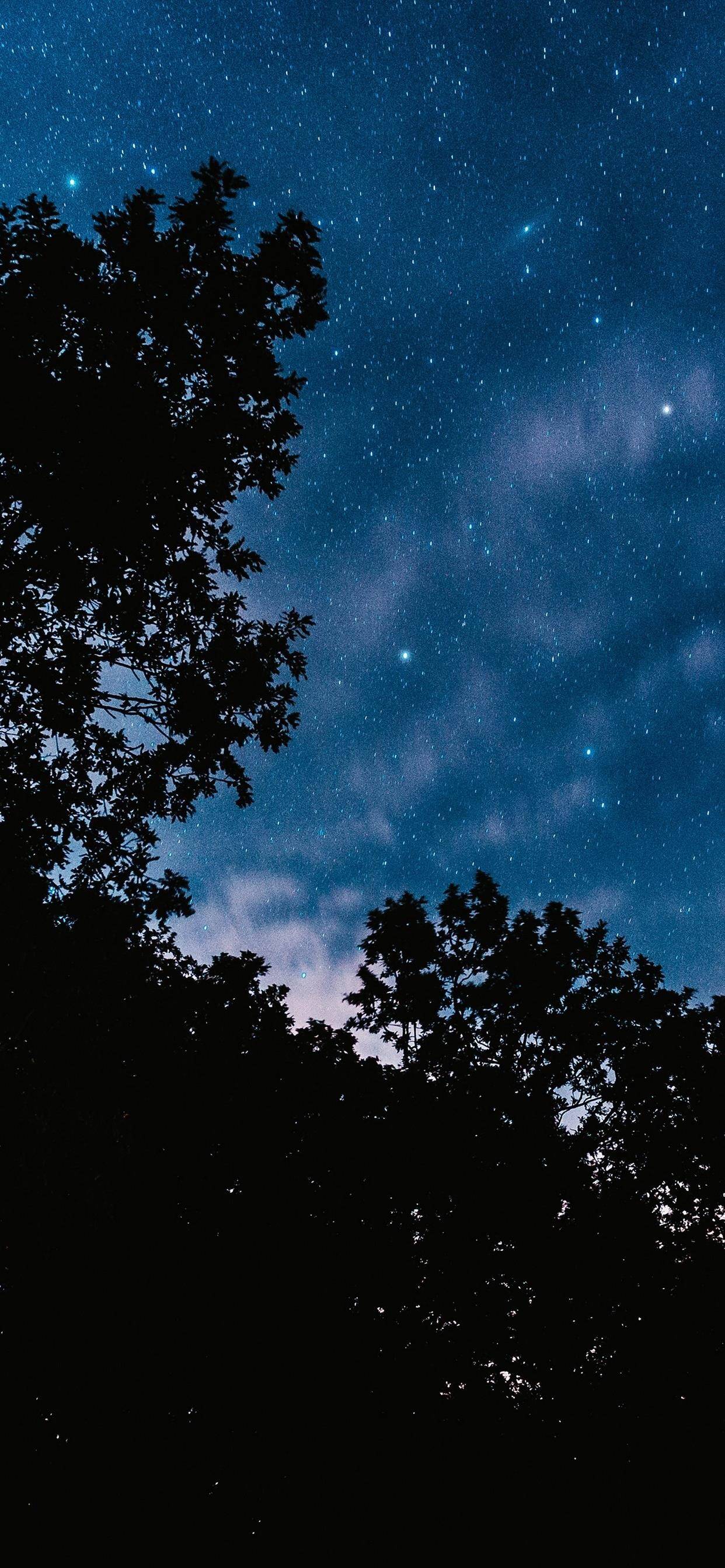 让自己心安的人 f2092266fa8a4139bb8b340e1455f298.jpeg