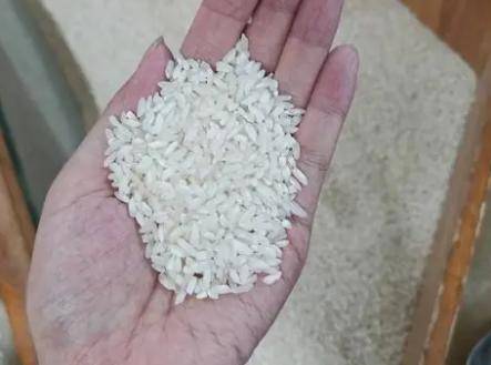 大米怎么选才放心 6fc154392f7544b6b28df84683292229.jpeg