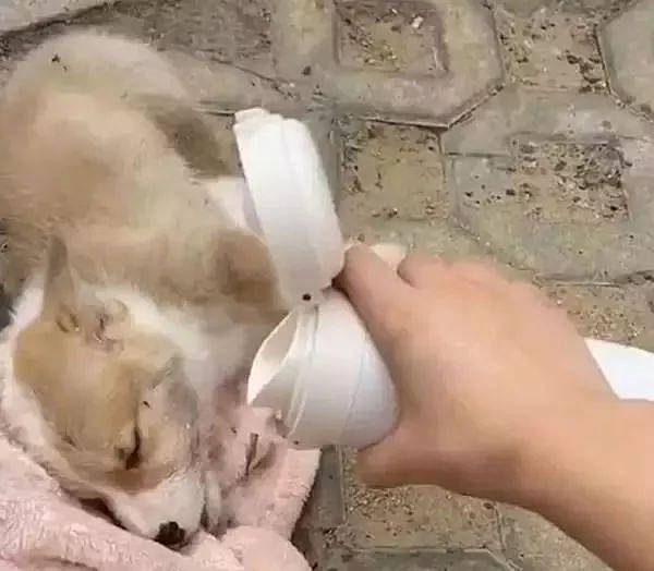 手提袋被丢在街头,上面还盖了张毯子,女子掀