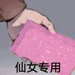 粉色砖头仙女专用