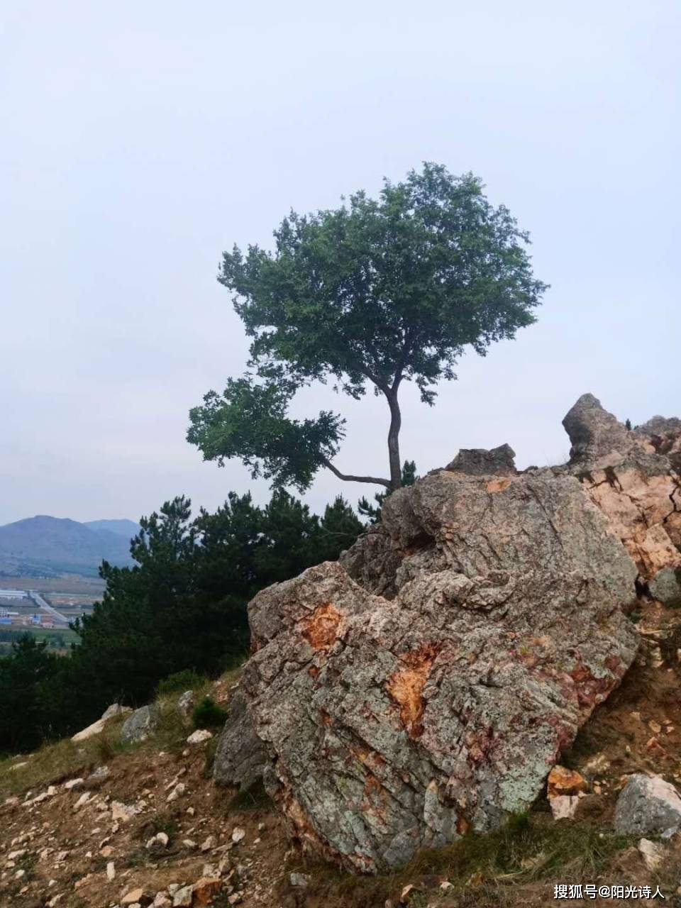 一座山,一块石,一棵树_石头