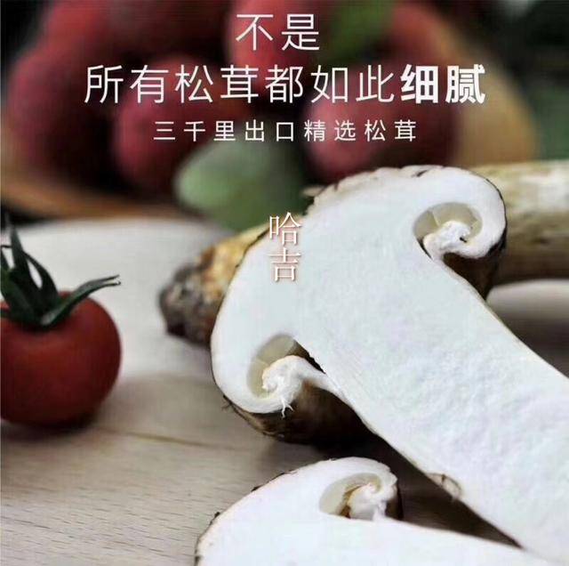 松茸多少钱一斤2020 d99e64556c3a4e7fa5a3cebc88630276.jpeg