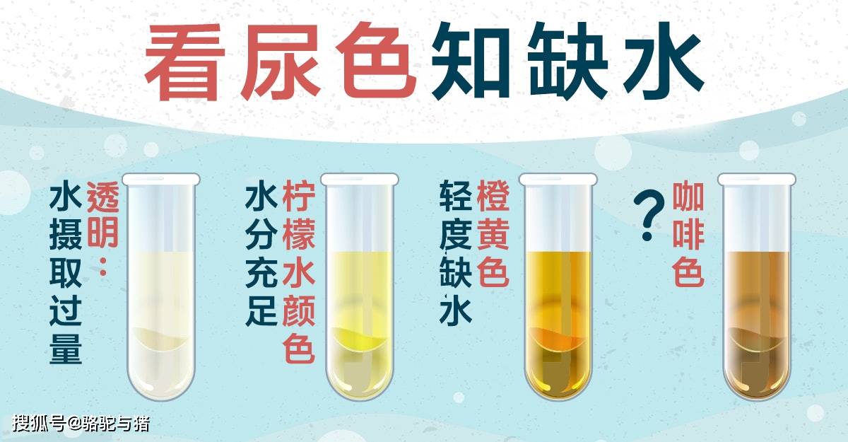 缺水8大症状,营养师教你:看尿色判断身体缺水情况