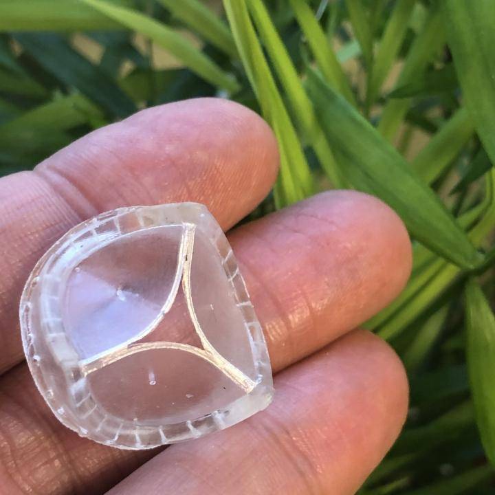 新的心脏瓣膜可改变全球数百万患者的心脏直视手术