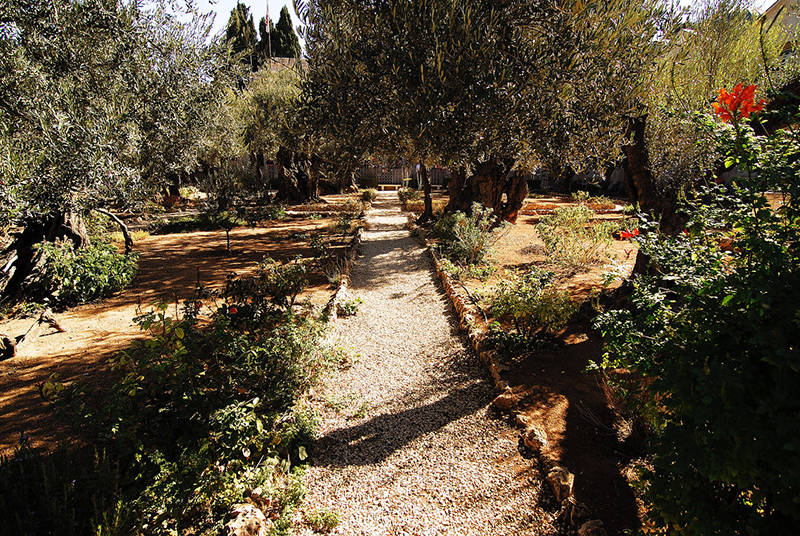 客西马尼园(the garden of gethsemane)抹大拉的玛利亚教堂(church