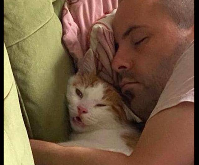 原创 主人抱着猫咪睡觉,它脸色狰狞想逃走:你压得我喘