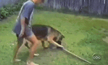 原创搞笑gif趣图:哥们,快跑,这火箭射过来了!