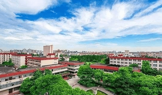 2020年高考热门大学_[热门高校]2020年温州大学艺术类本科专业录取线