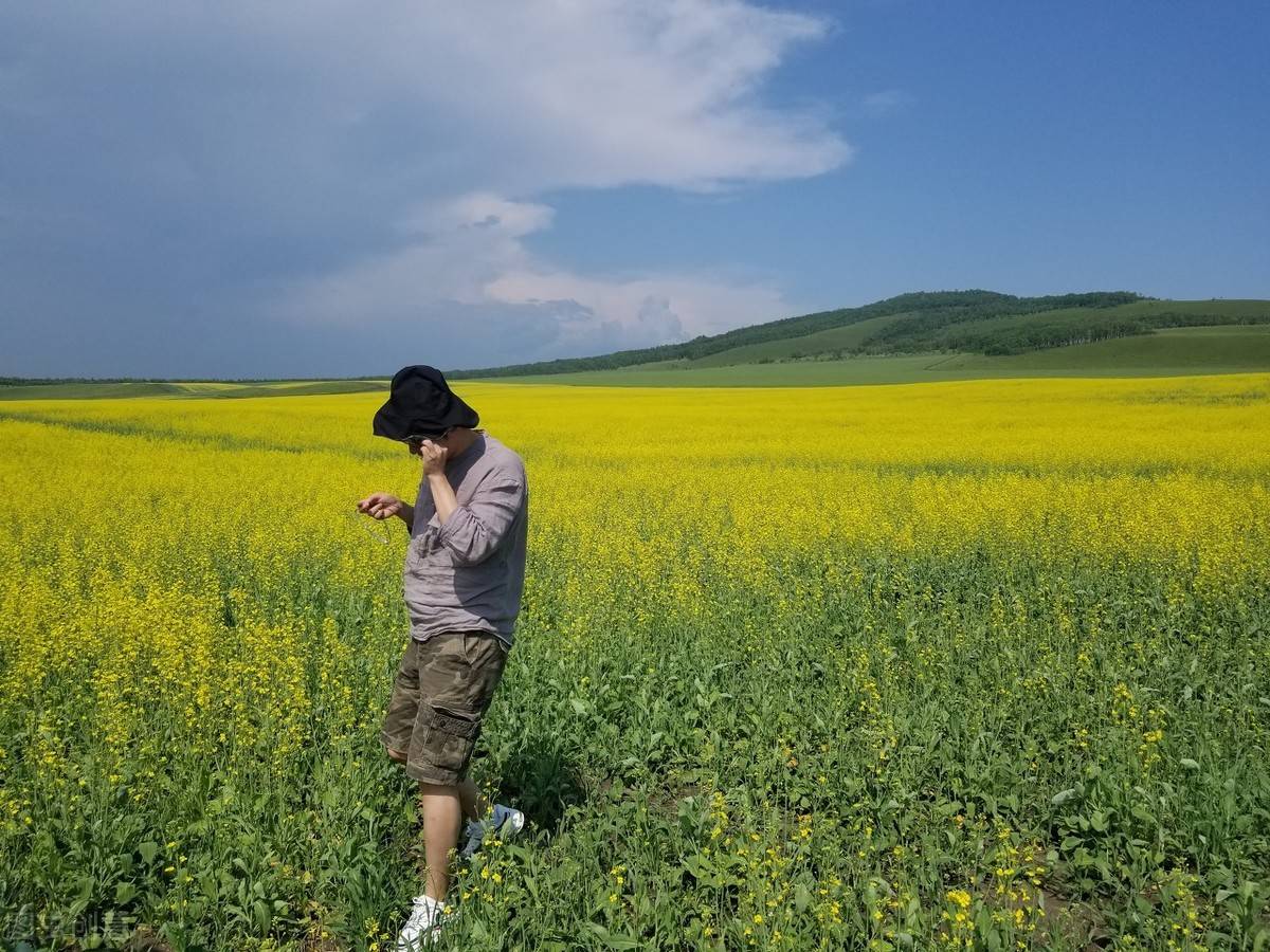 抖音怎么做垂直定位？抖音布局，抖音运营策略