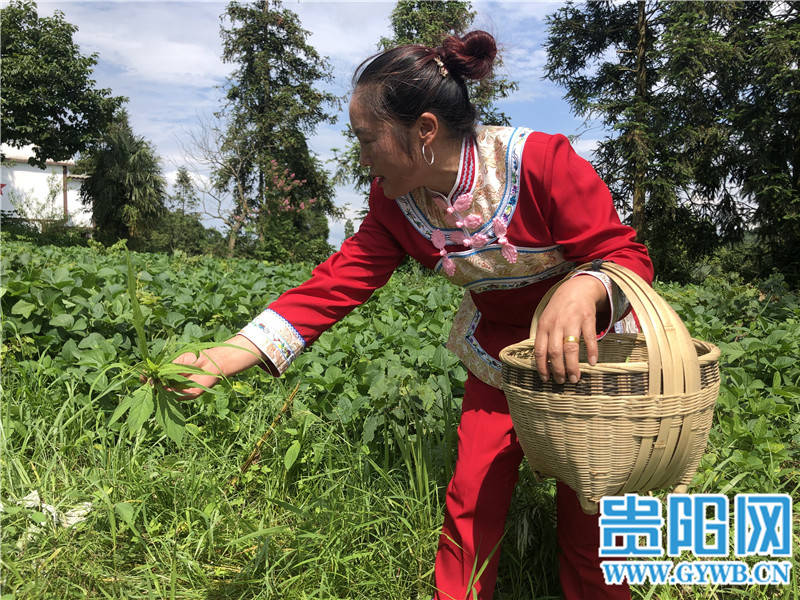 贵阳修文大木村:美丽乡村日子美_修文县