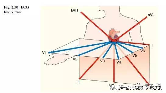 心电图知识学习,干货满满!送给需要的人