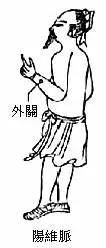 针八分,主心腹胁肋五脏病,与照海主客相应.