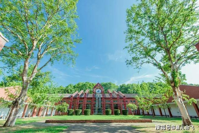 华中|武汉大学与华中科技大学哪个更好考？按历年高考录取分数线