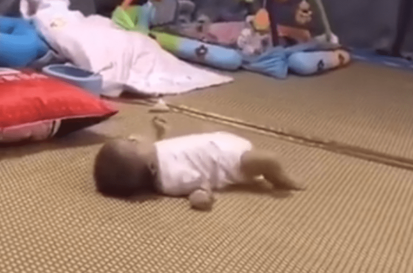 床上|萌娃躺在床上像蛇一样“蠕动”火了，网友：要不是亲眼见真不敢信