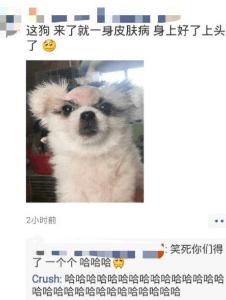 原创
笑话:高中时候,有个二货室友,大半夜不睡觉,到大街上闲逛
