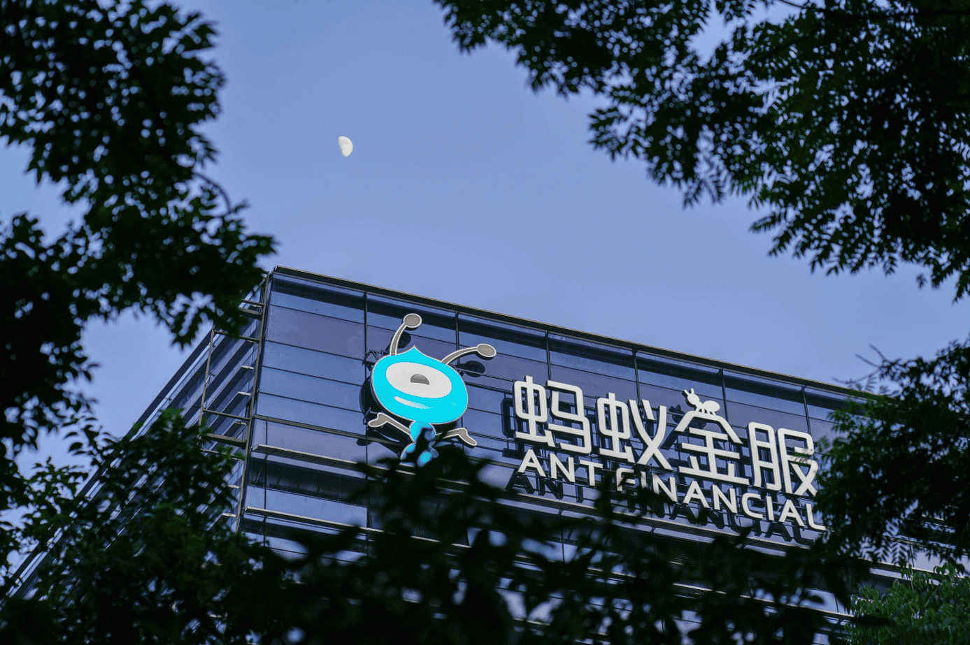 原创突然！美团、京东与拼多多市值突破千亿美元！下一个是B站？