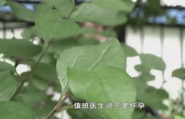 检查已怀孕，女子辞职在家养胎，医院：弄错了！