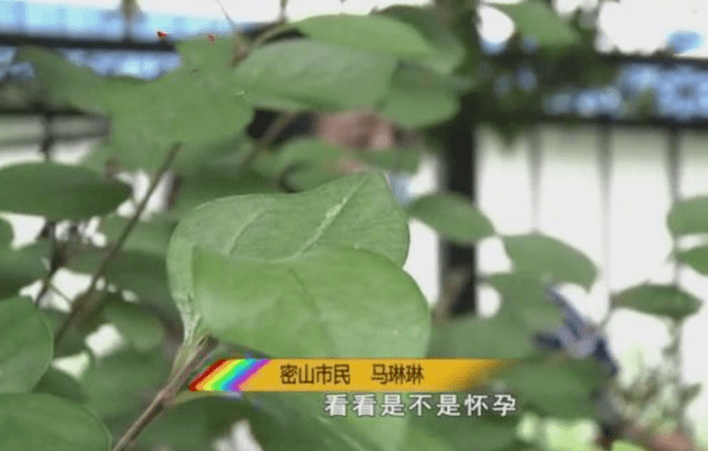 检查已怀孕，女子辞职在家养胎，医院：弄错了！