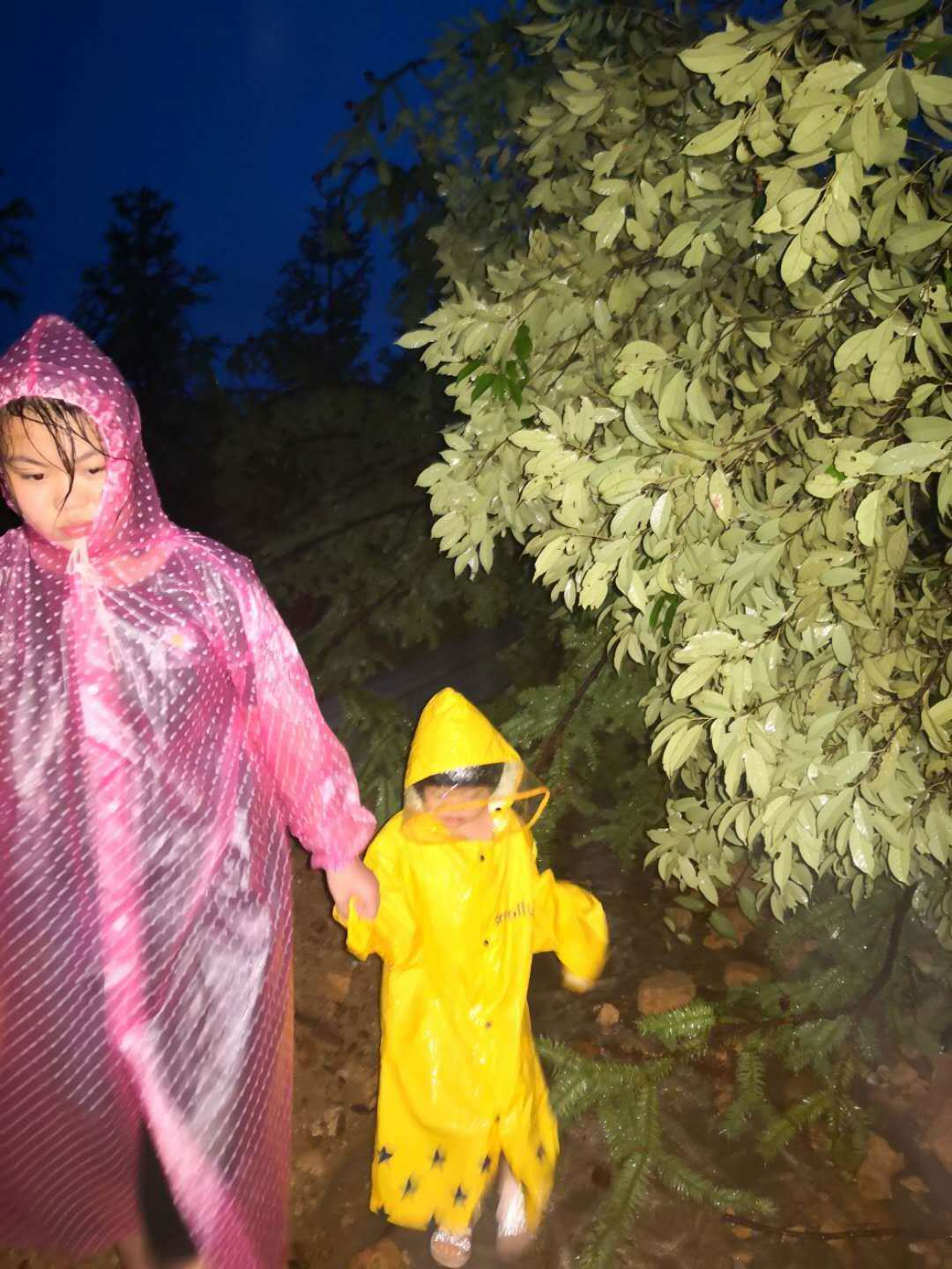 好汉|父亲英雄女好汉“霞山乡村振兴美术馆”陈晓齐馆长：11岁女儿为妹妹设计时装