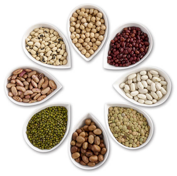 消息资讯|色选机贵在哪里