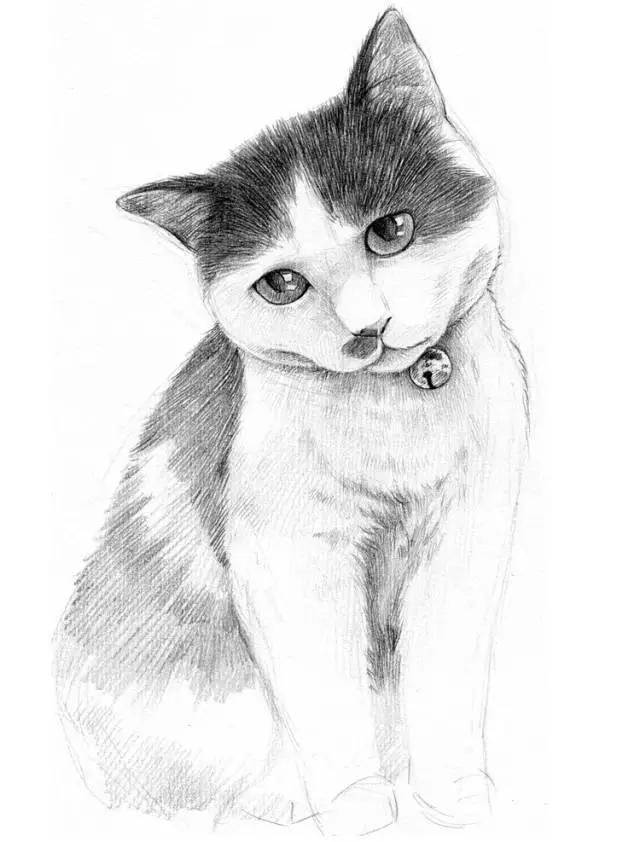【推荐】素描入门基础知识|从零起步素描基础教程下载