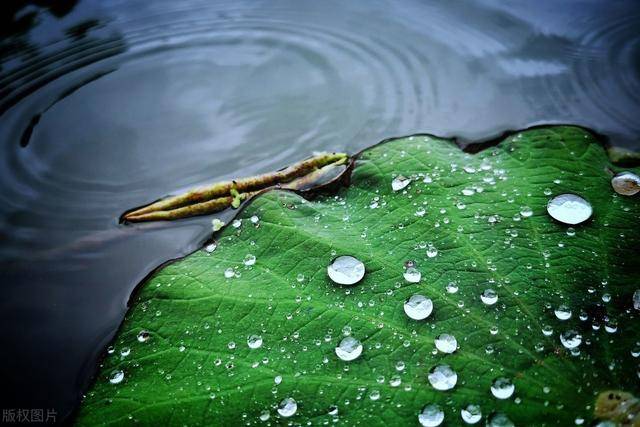 原创古人喜欢在下雨的晚上失眠,就为第二天写几句好诗词