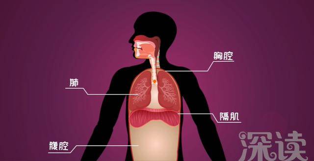 幼儿喉咙被卡危及生命，幸有民警用“海姆立克法”救下！这保命的一招得学！