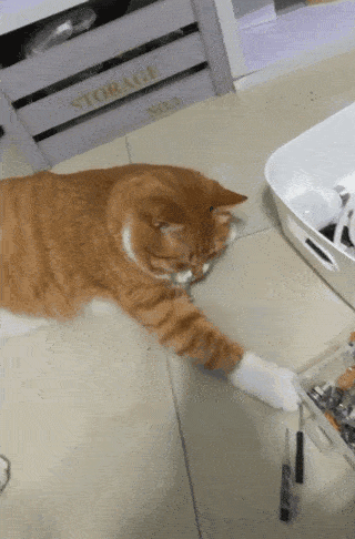 320_486 竖版 竖屏