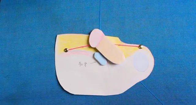也就是说孩子的丁丁并不是真的短小,它只是隐藏了「真实力」~隐匿性