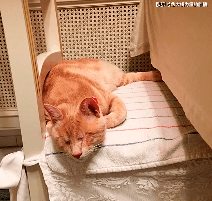 a64f5e276d11408a9560c72e22abe4b8.png