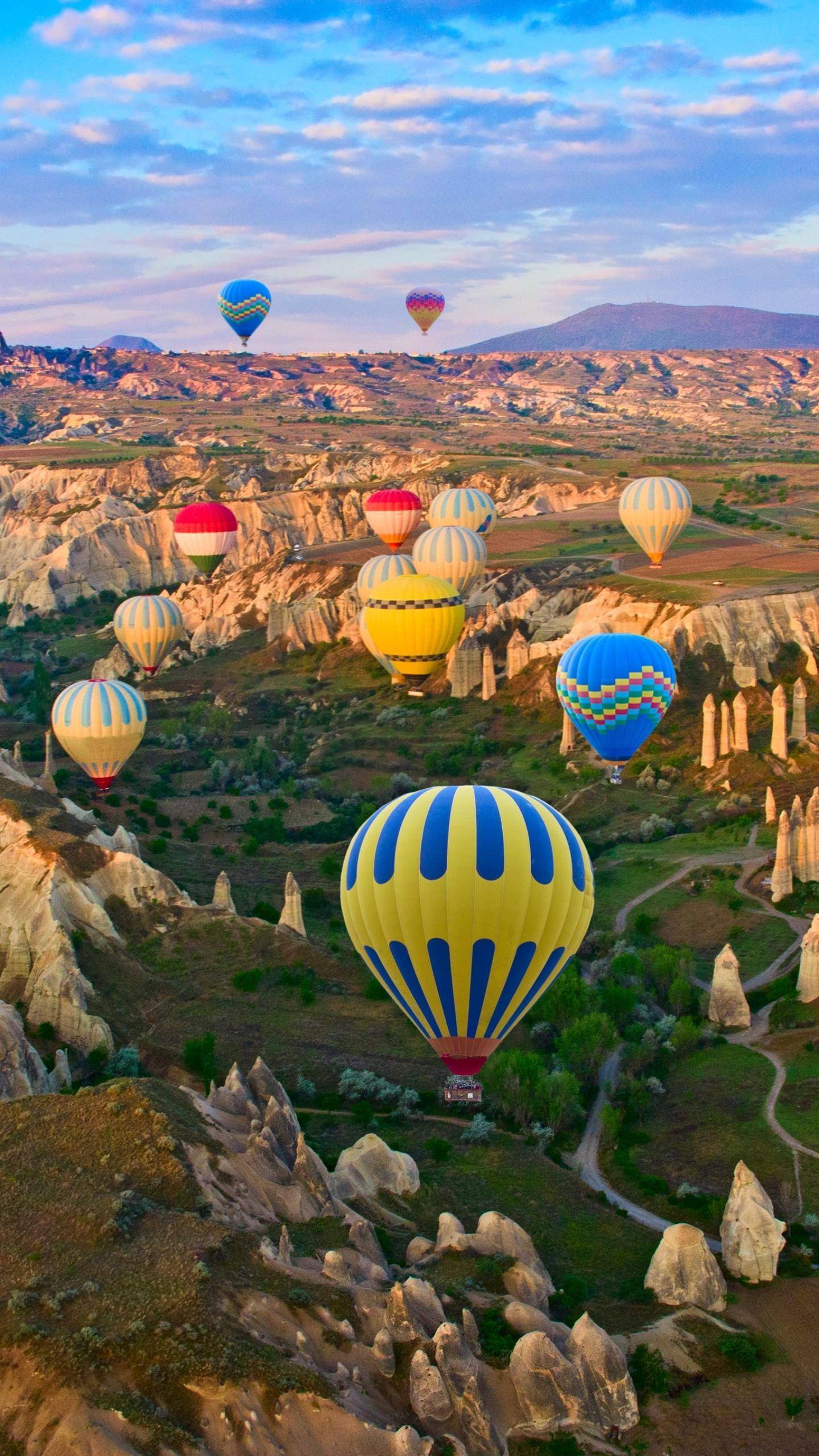 语文|2020年高考语文数学试卷（全国卷）来了（含详细答案解析）