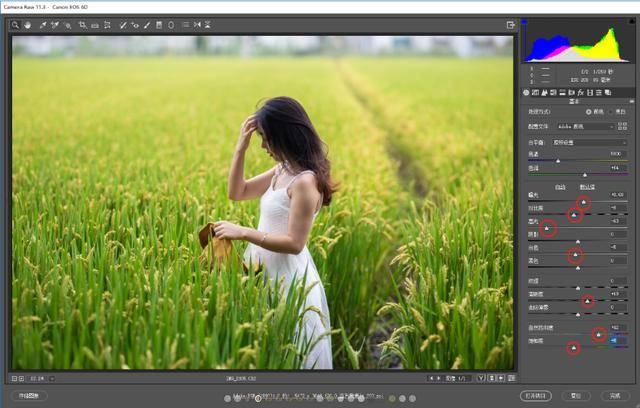 色调|探图摄影师专栏｜如何调整出一张“色调较强的低饱和”照片