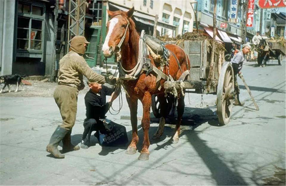 摊位|五十年代的日本民生百态:一派欣欣向荣的景象