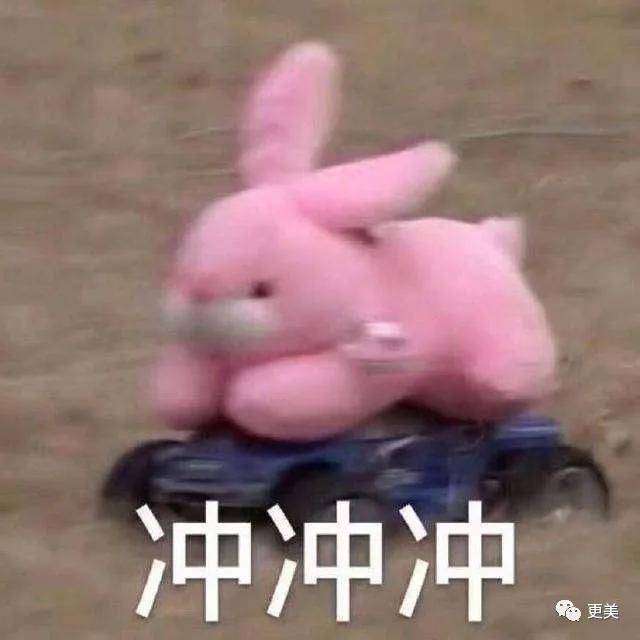 在线|发量王者鞠婧祎在线教你换头！2.5亿脱发少女有救了！
