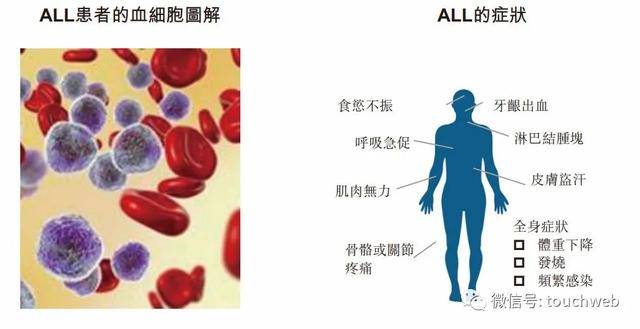 持股|永泰生物港交所上市：市值超70亿 去年净亏损过亿