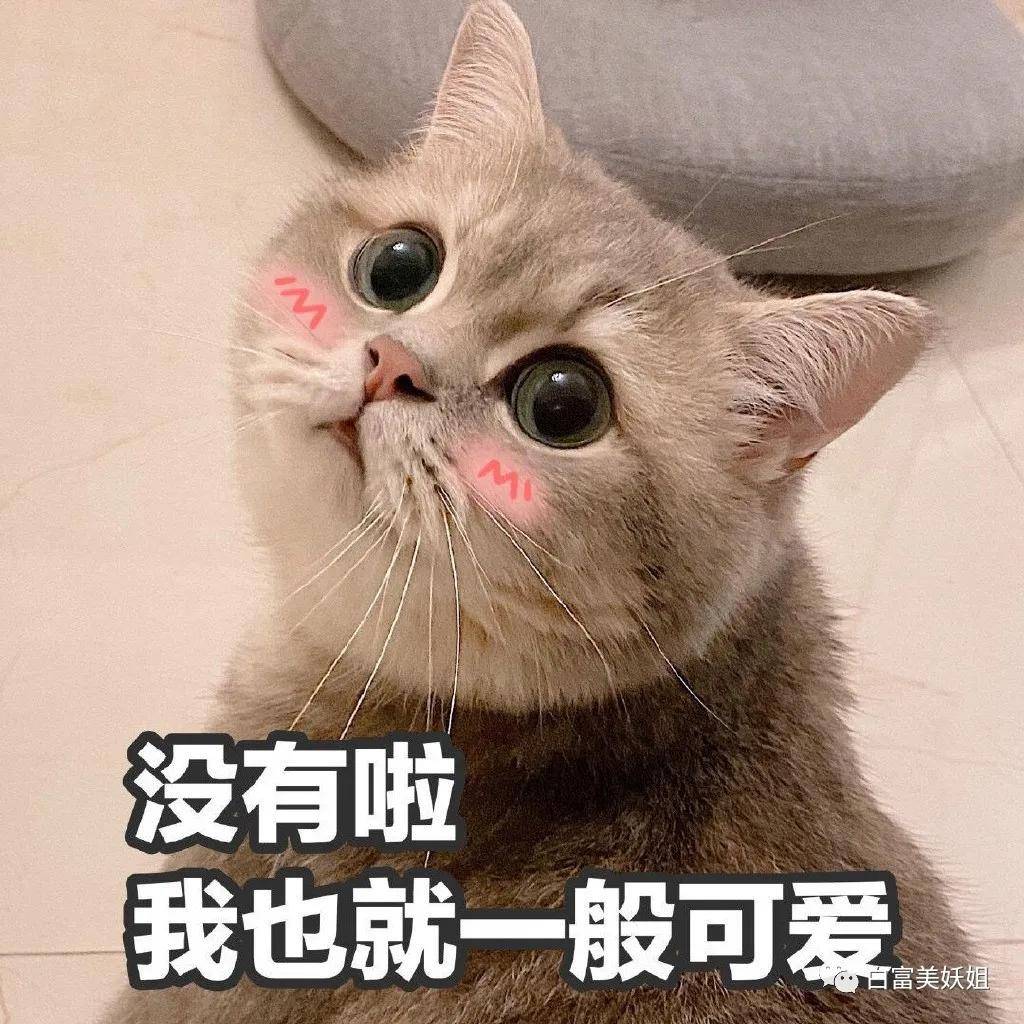 京城|晚晚唯一不敢艳压的女人！说她是京城第一名媛没人反对吧？