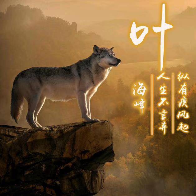 微信头像,姓氏头像,3d励志艺术签名微信头像,看看喜欢